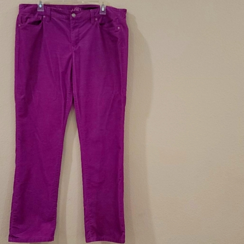 Ann Taylor Loft Purple Corduroy Modern Straight Pant